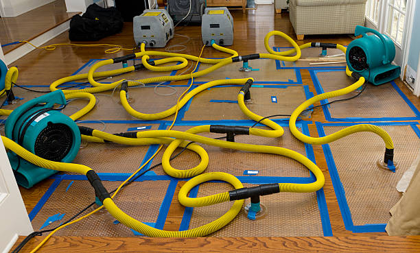 Professional Storm Water Damage Restoration technician working in Corte Madera, CA